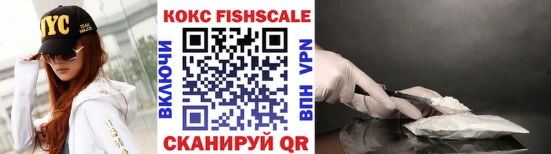 Купить  Палласовка  COCAIN Fish Scale 